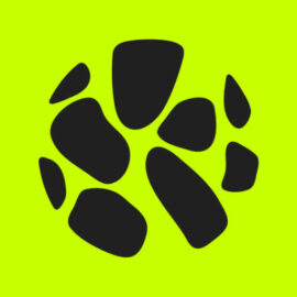 Resilium Challenge - | Resilium